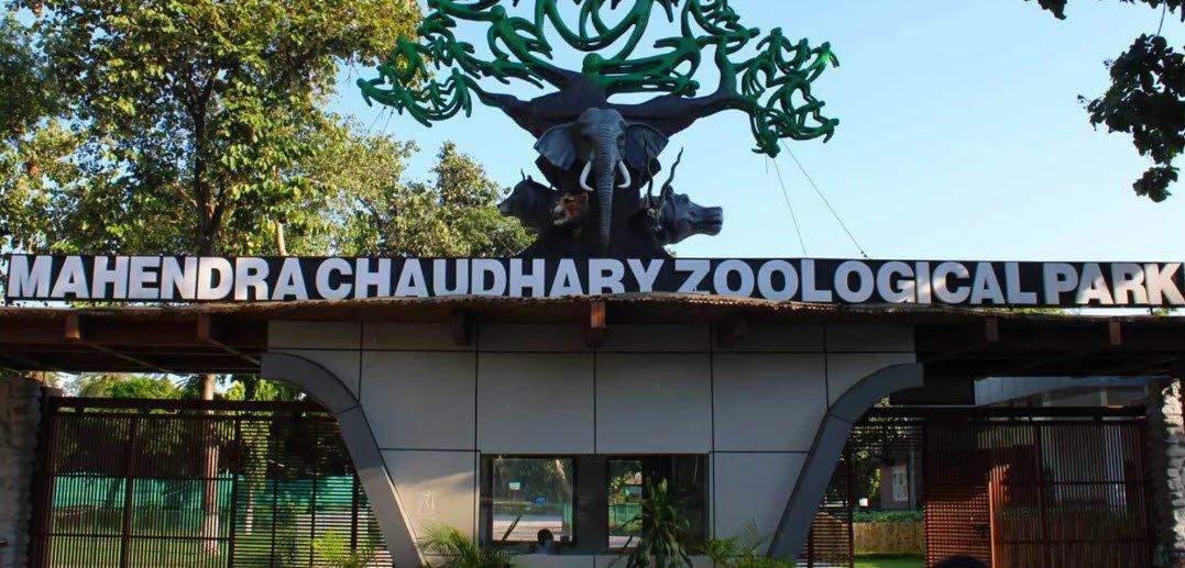 Chhatbir Zoo (Zirakpur, Mohali)